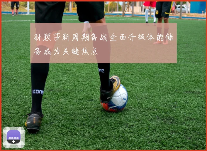 孙颖莎新周期备战全面升级体能储备成为关键焦点