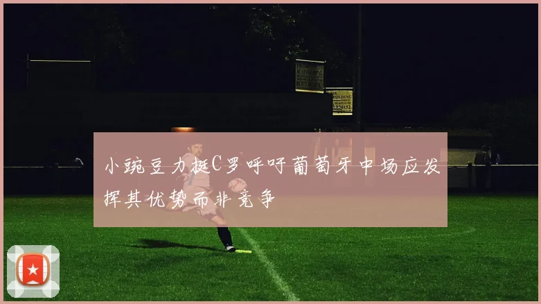 小豌豆力挺C罗呼吁葡萄牙中场应发挥其优势而非竞争